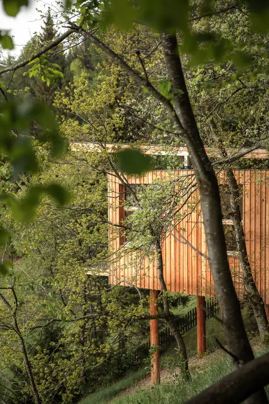 Baumhaus — A retreat on stilts
