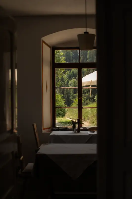 Briol — watching the world pass by from within