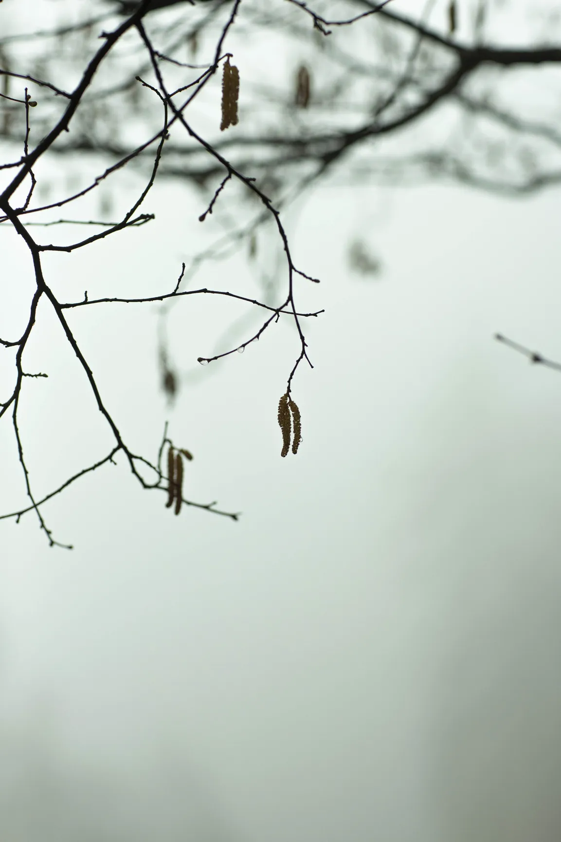 Impressione Filosofia Briol