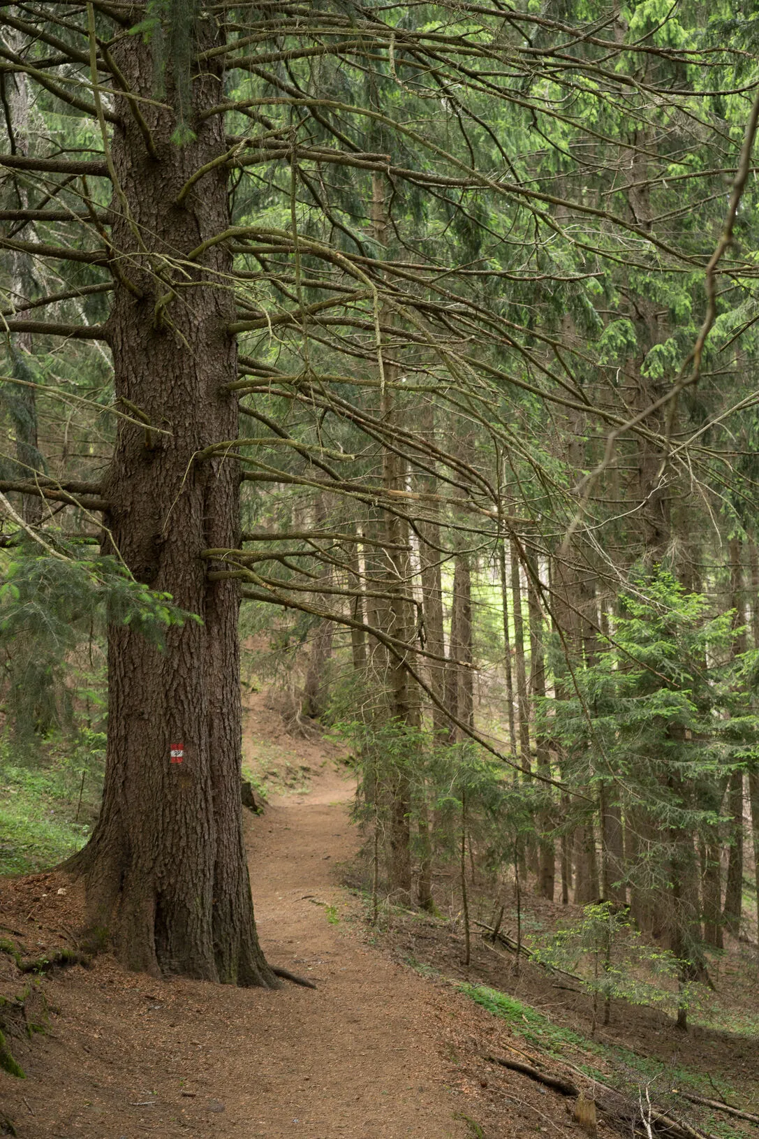 Impressione Filosofia Briol