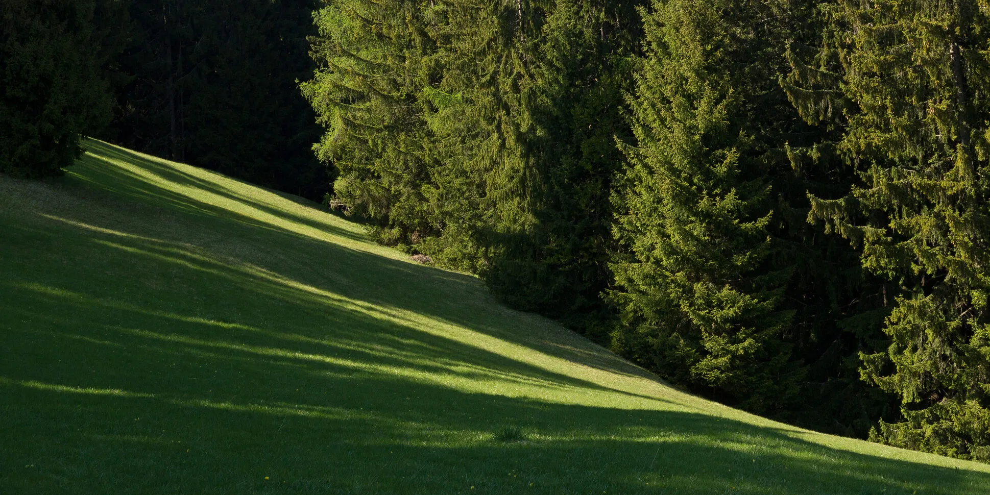 Impressione Filosofia Briol