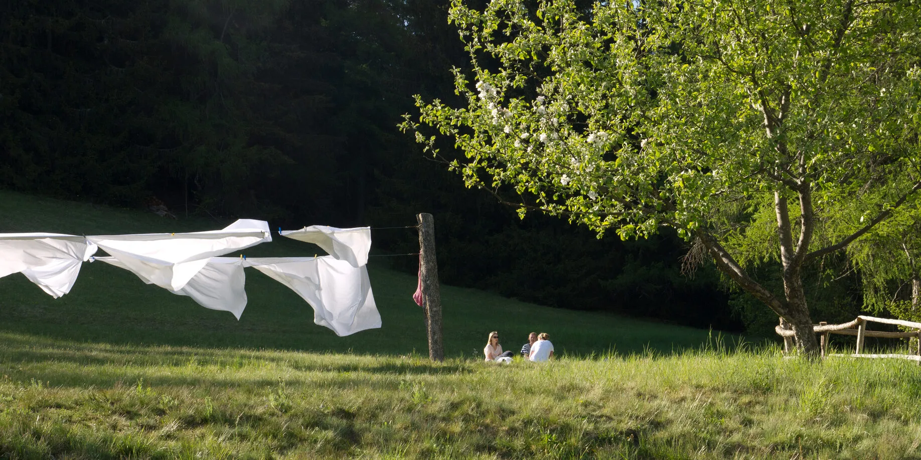 Impressione Filosofia Briol