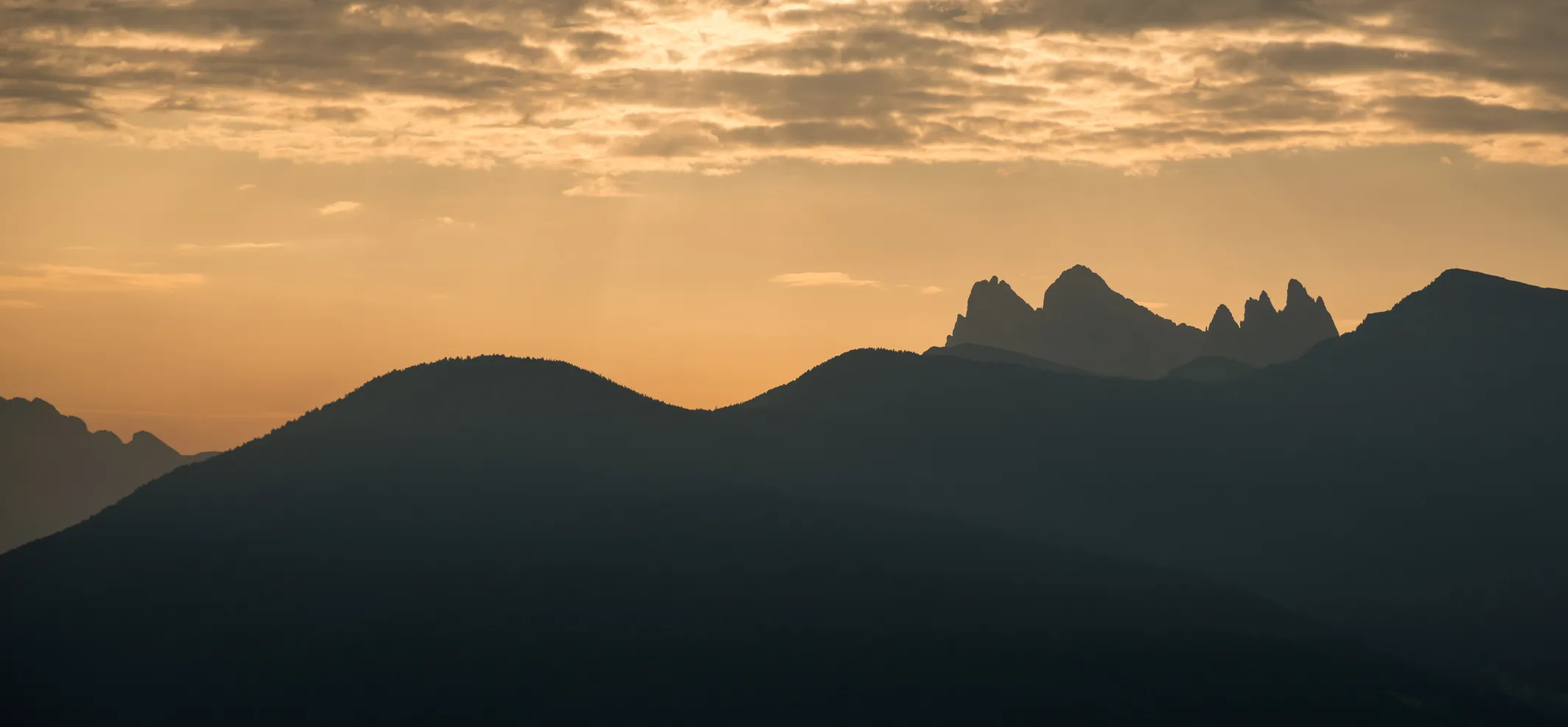 Conference Impression